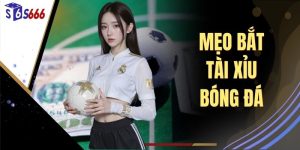 Mẹo Bắt Tài Xỉu Bóng Đá - 4 Kỹ Năng Làm Chủ 100% Cuộc Chơi