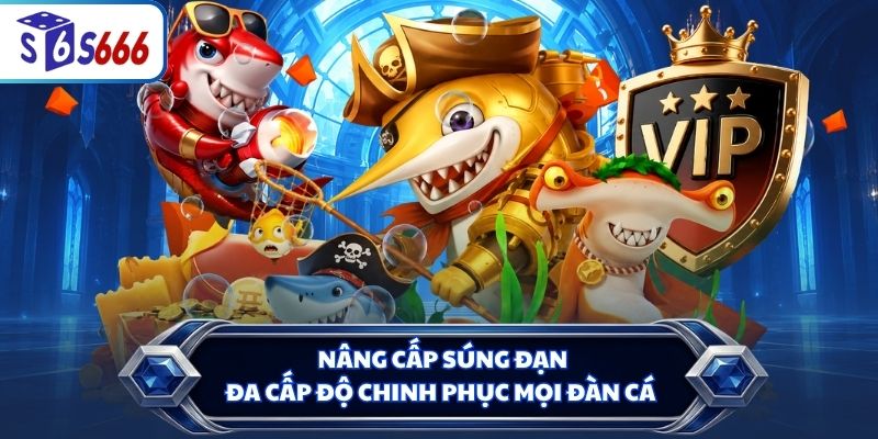 Nâng cấp súng đạn đa cấp độ chinh phục mọi đàn cá