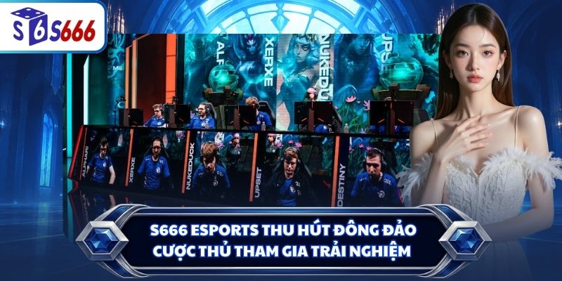S666 Esports thu hút đông đảo cược thủ tham gia trải nghiệm