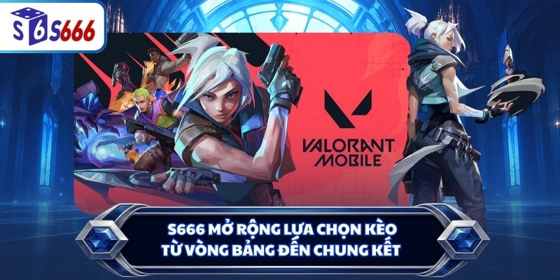 S666 mở rộng lựa chọn kèo từ vòng bảng đến chung kết